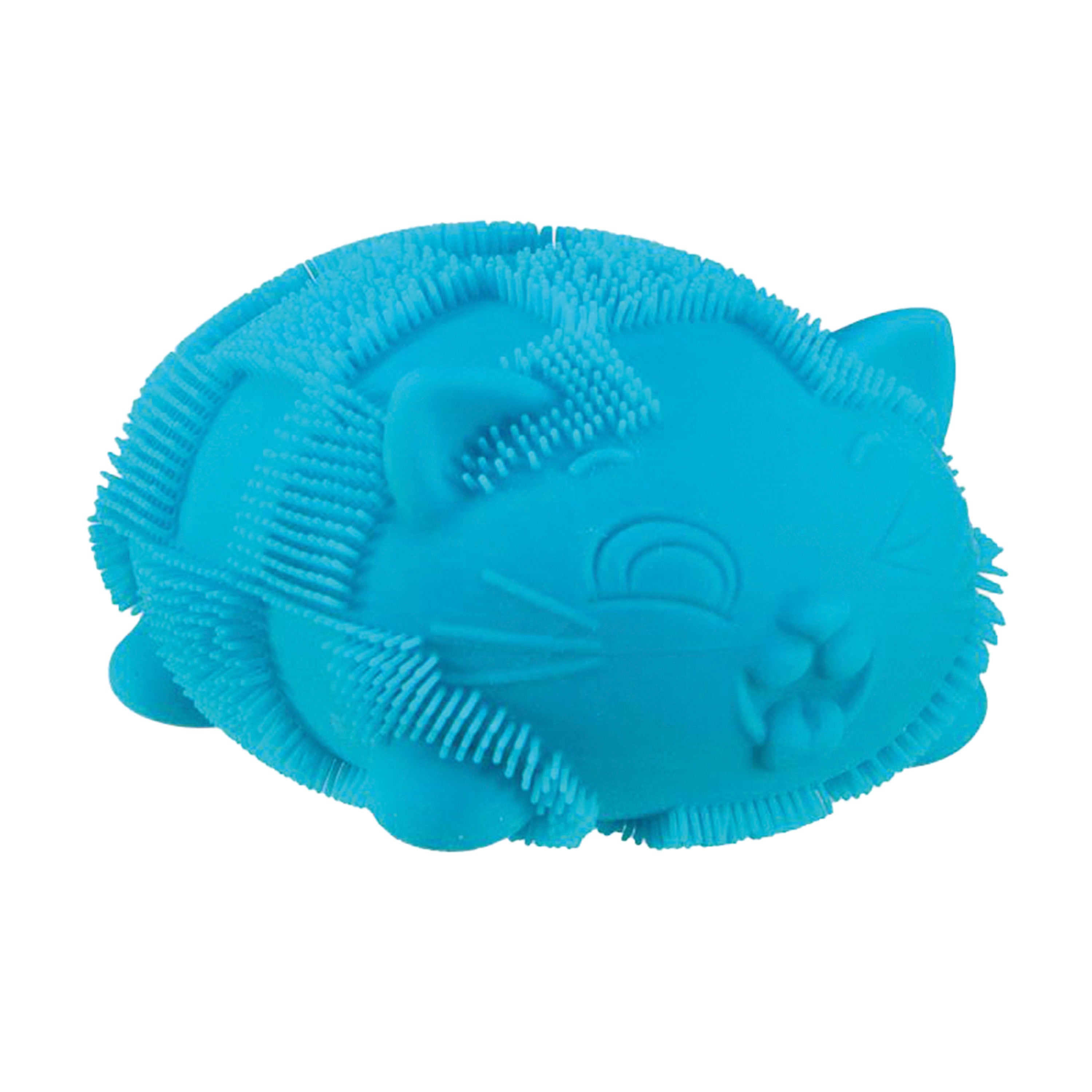 WCFZBND_Image12